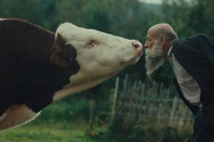 Better Go Mad in the Wild by Miro Remo