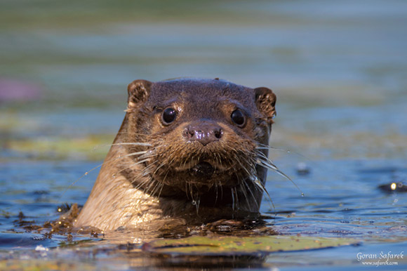 Valley of Monuments by Srdan Vuletic, photo: Artikulacija Film